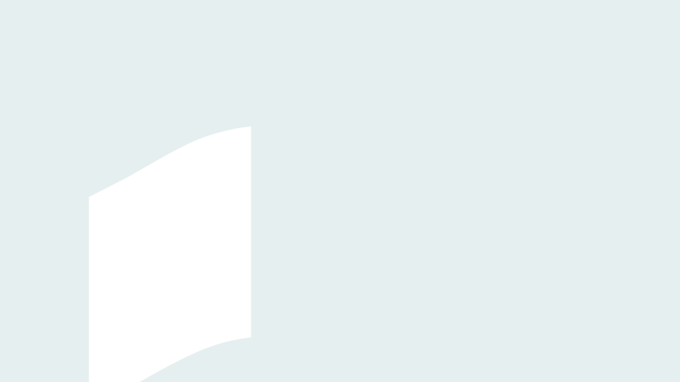 loader