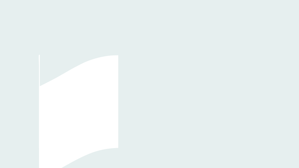 loader