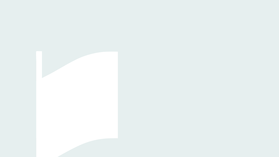 loader