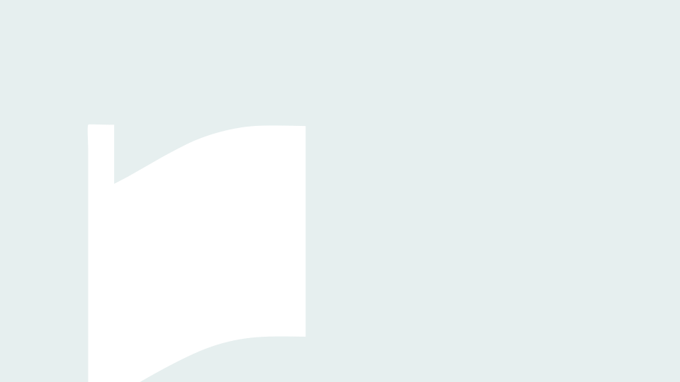loader