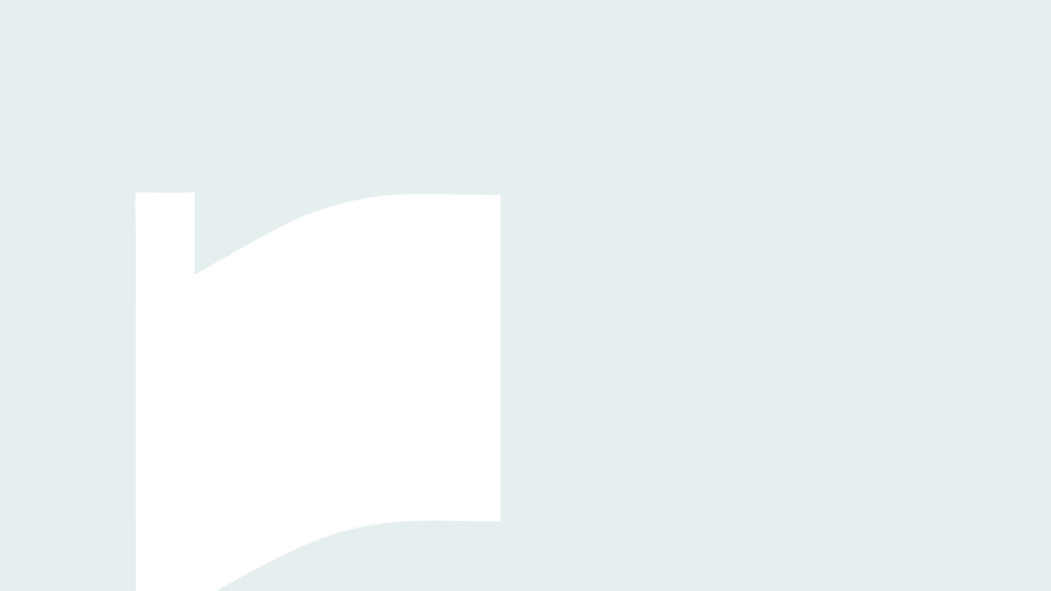 loader