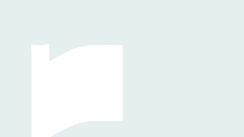 loader