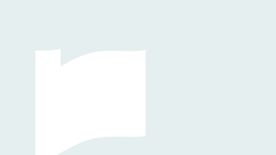 loader
