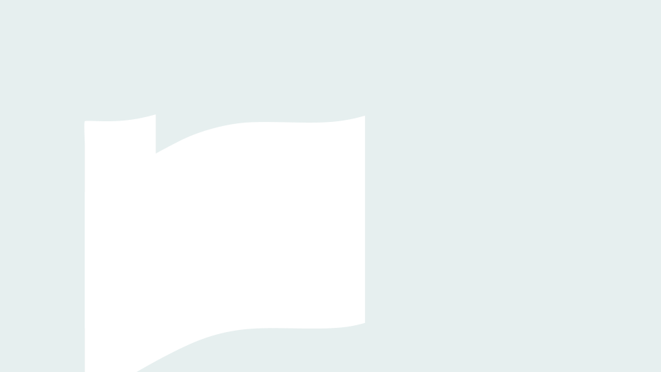loader
