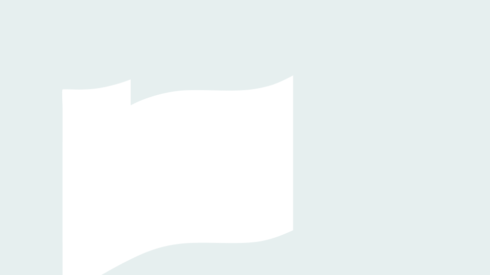 loader