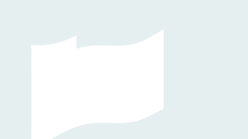 loader
