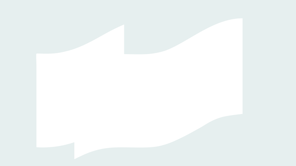 loader