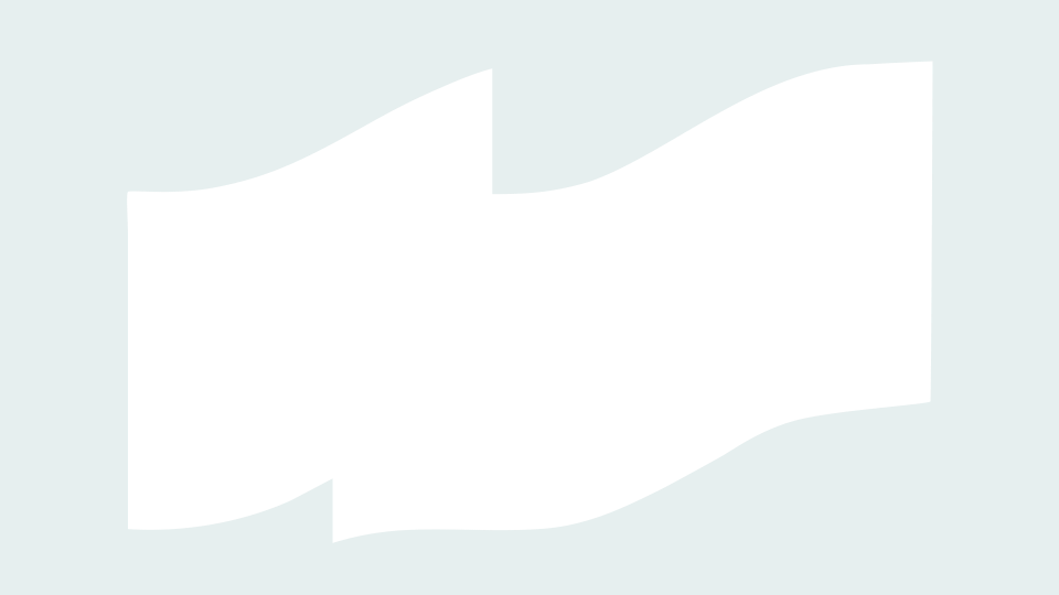loader