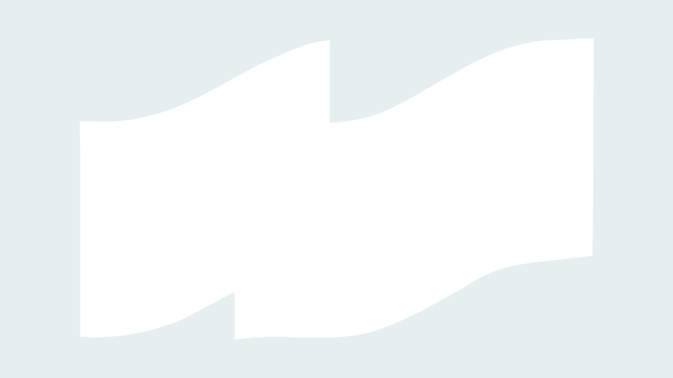 loader