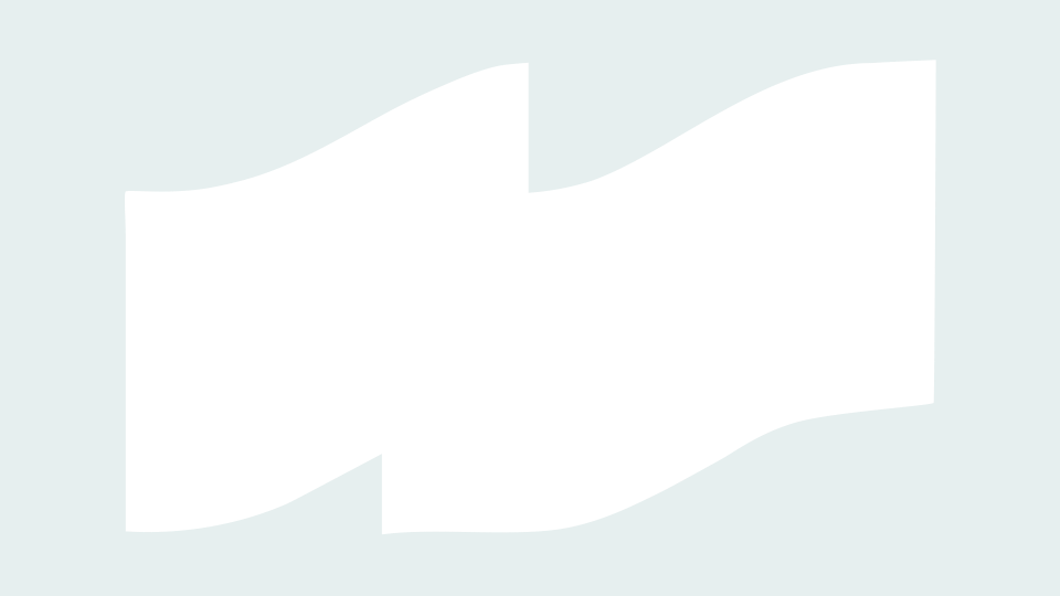 loader